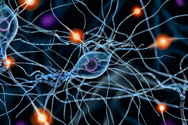 Graphic showing impulses traveling down axons of neurone cells